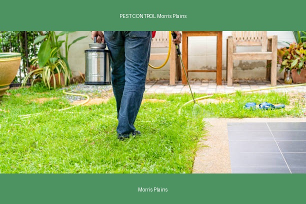 PEST CONTROL Morris Plains